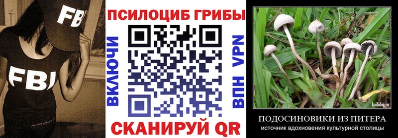 Псилоцибиновые грибы мицелий  ОМГ ОМГ tor  Полтавская 